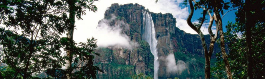 Rainforests of Ecuador